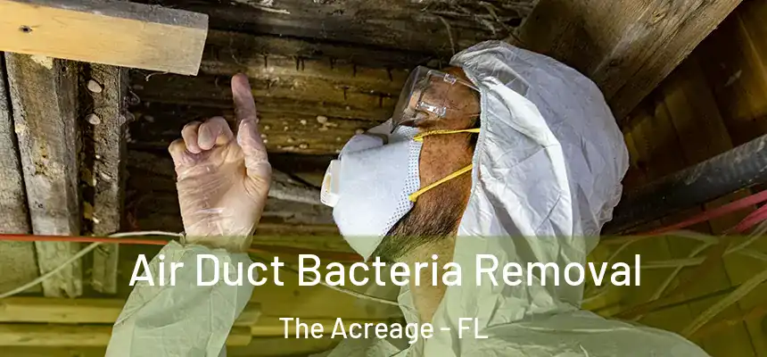 Air Duct Bacteria Removal The Acreage - FL