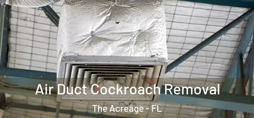 Air Duct Cockroach Removal The Acreage - FL