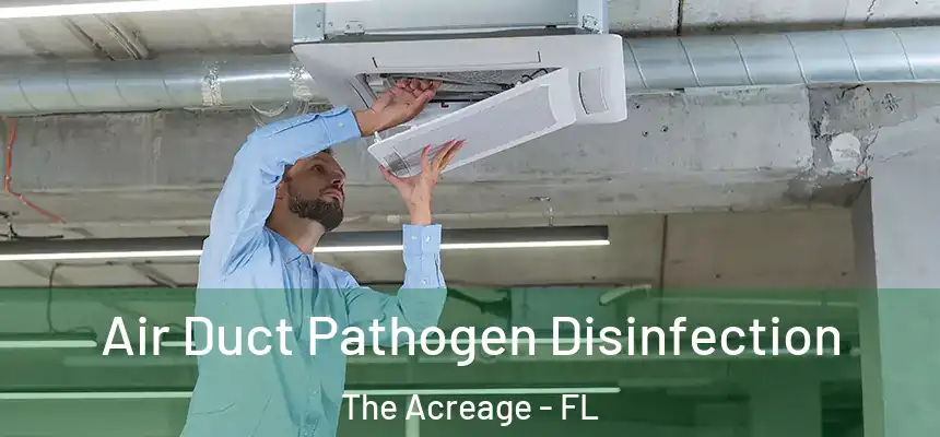  Air Duct Pathogen Disinfection The Acreage - FL
