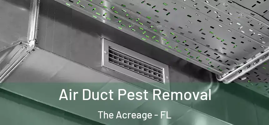  Air Duct Pest Removal The Acreage - FL