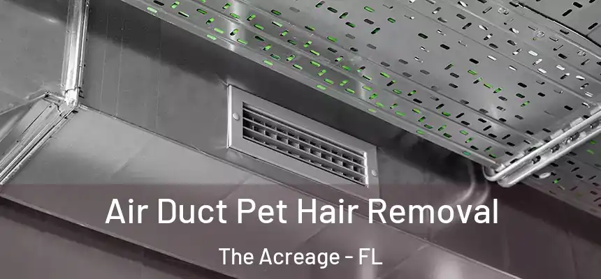 Air Duct Pet Hair Removal The Acreage - FL