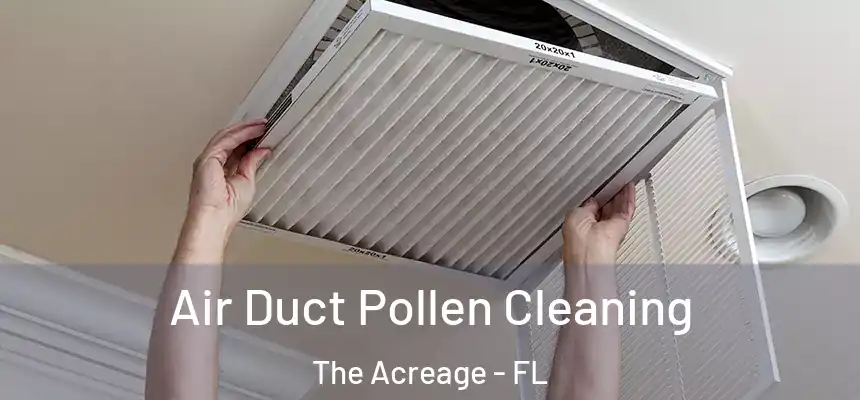 Air Duct Pollen Cleaning The Acreage - FL