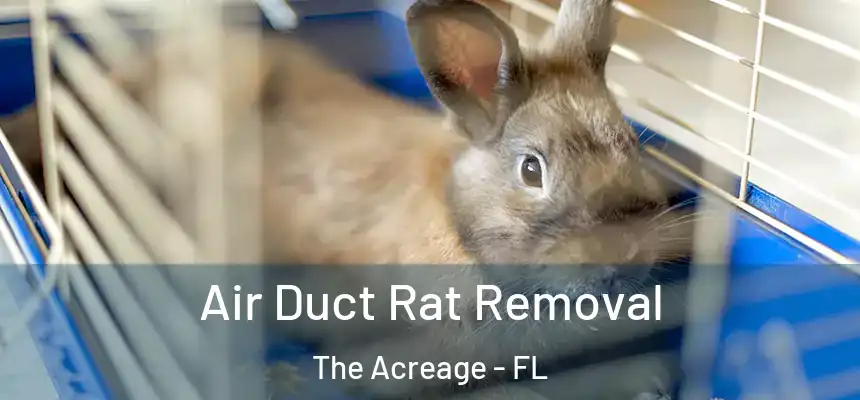  Air Duct Rat Removal The Acreage - FL