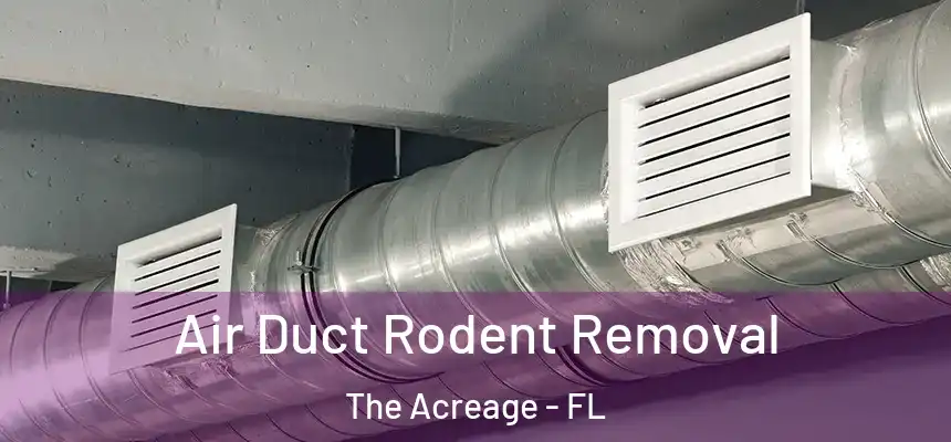  Air Duct Rodent Removal The Acreage - FL