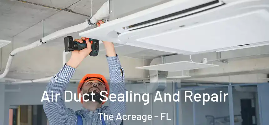  Air Duct Sealing And Repair The Acreage - FL