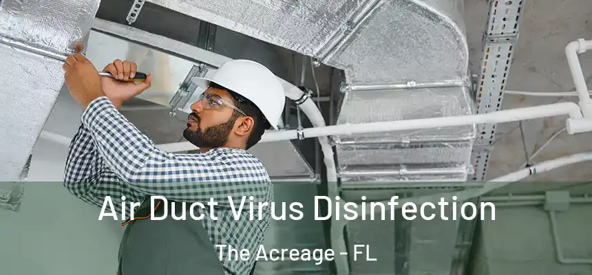  Air Duct Virus Disinfection The Acreage - FL