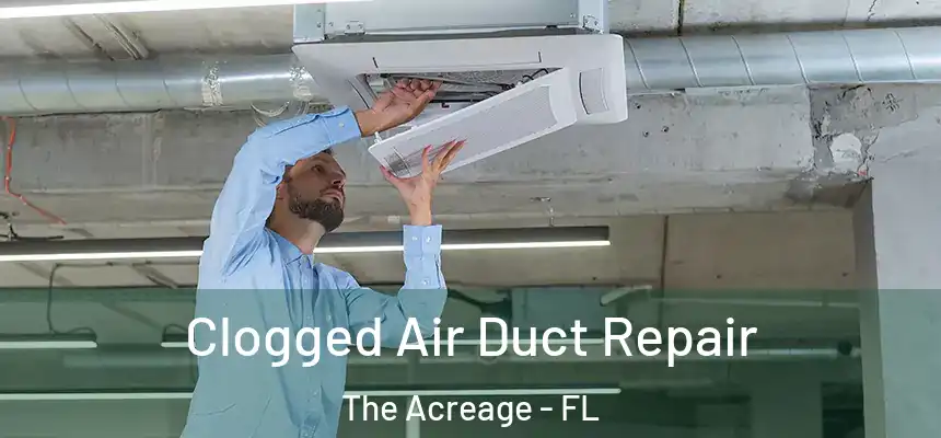 Clogged Air Duct Repair The Acreage - FL