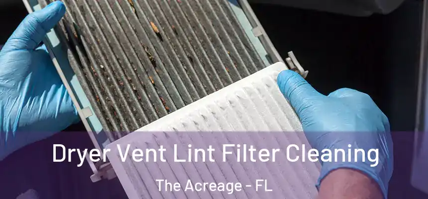Dryer Vent Lint Filter Cleaning The Acreage - FL