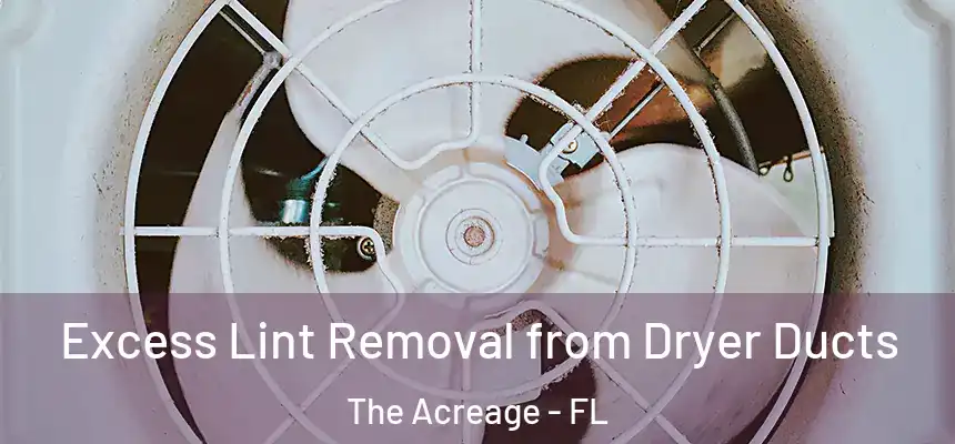  Excess Lint Removal from Dryer Ducts The Acreage - FL