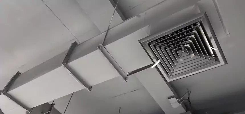 Our Pest Removal From Ducts Services in The Acreage, FL