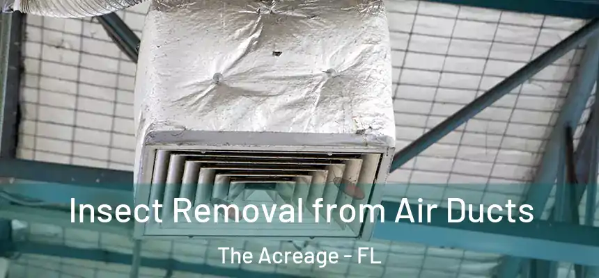 Insect Removal from Air Ducts The Acreage - FL