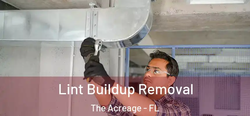 Lint Buildup Removal The Acreage - FL