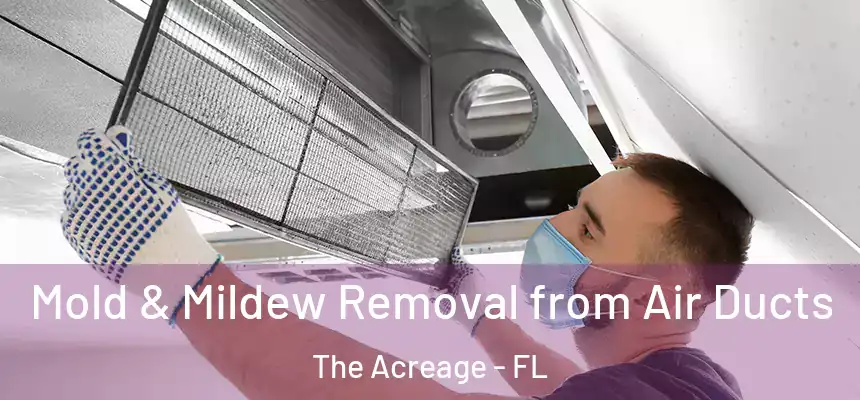  Mold & Mildew Removal from Air Ducts The Acreage - FL