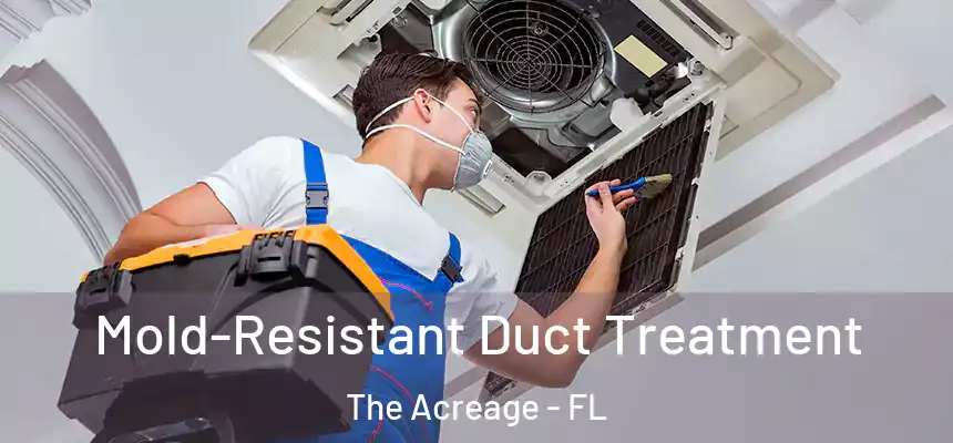  Mold-Resistant Duct Treatment The Acreage - FL