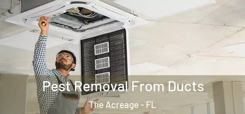  Pest Removal From Ducts The Acreage - FL