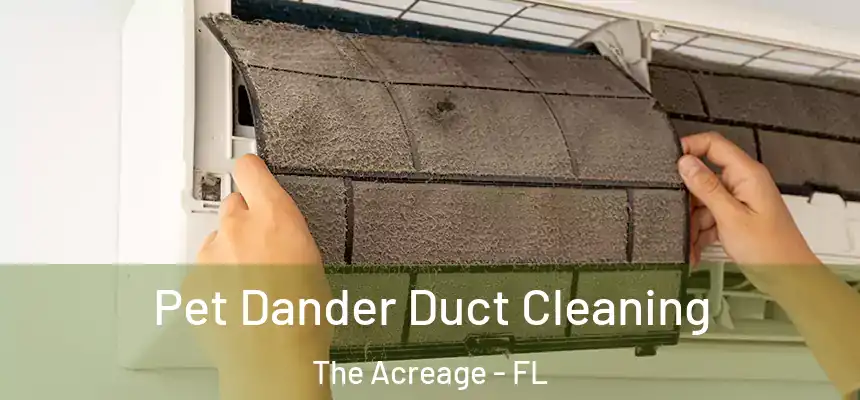  Pet Dander Duct Cleaning The Acreage - FL