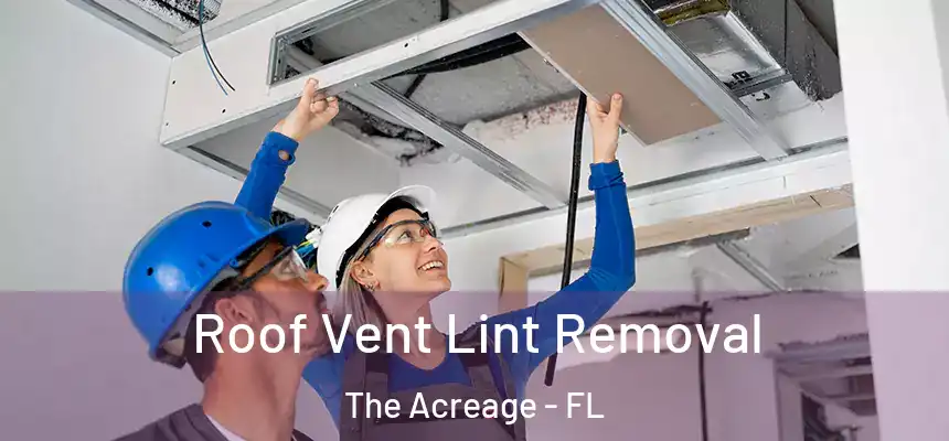  Roof Vent Lint Removal The Acreage - FL