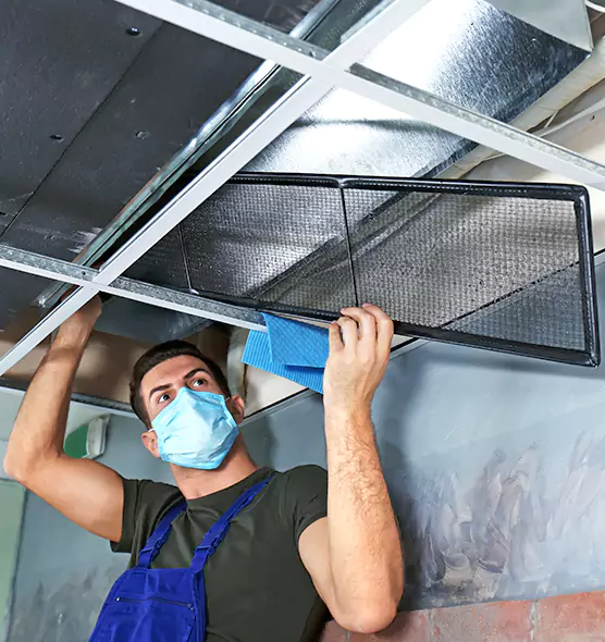 About Air Duct Bacteria Removal in The Acreage