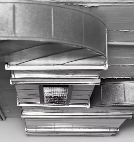 Professional Air Duct Pest Removal in The Acreage, FL