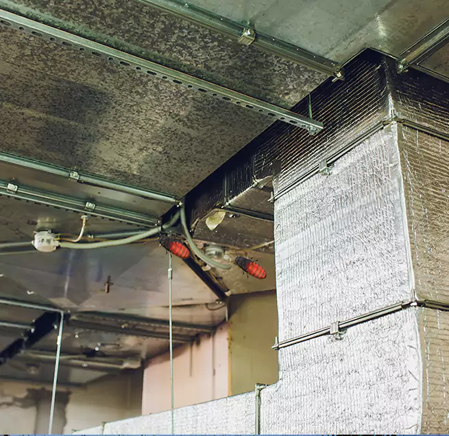 Why Homeowners & Businesses Trust Us in The Acreage, FL?