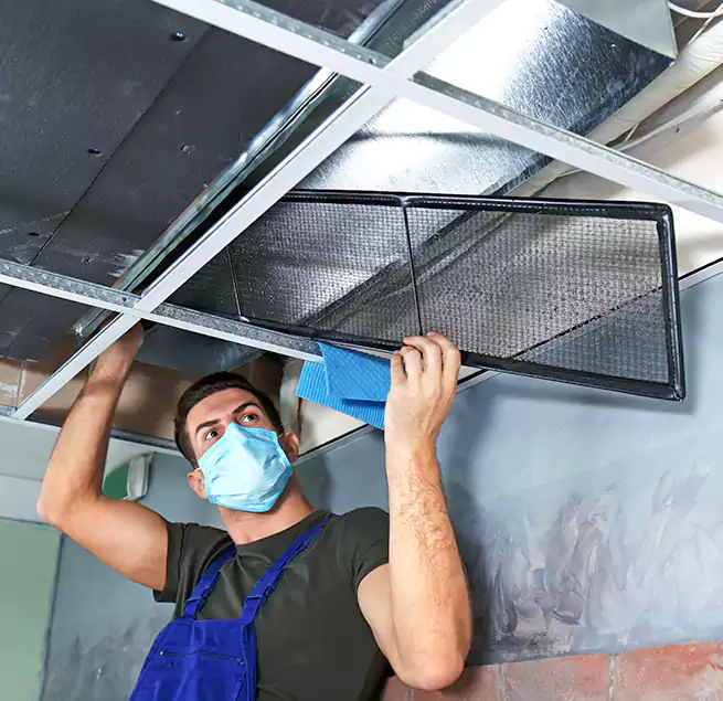 Why Homeowners Businesses Trust Us in The Acreage, FL